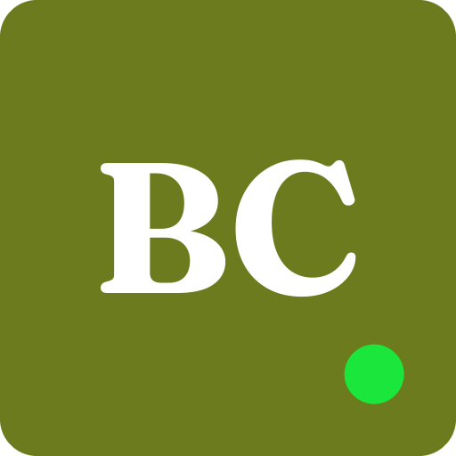 Buffalo Color Studio logo